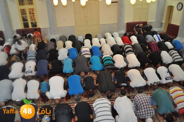 tarawe7 nozhas j (5).JPG